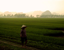 Sdostasien, Vietnam: Von den Bergstmmen bis zum Mekongdelta - Ninh Binh Buerin